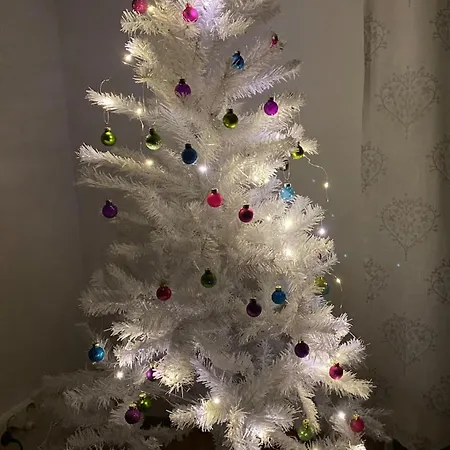 Skandinavian 76m2 Apartment