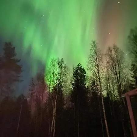 Skandinavian 76m2 Apartment